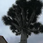 Casa El Drago-tafira Baja Проживання в сім'ї Лас-Пальмас-де-Гран-Канарія