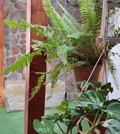 Casa El Drago-tafira Baja Alloggio in famiglia Las Palmas de Gran Canaria