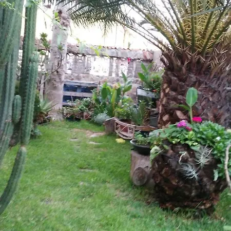 Casa El Drago-tafira Baja Alloggio in famiglia Las Palmas de Gran Canaria