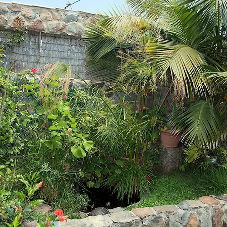 Casa El Drago-tafira Baja Alloggio in famiglia Las Palmas de Gran Canaria