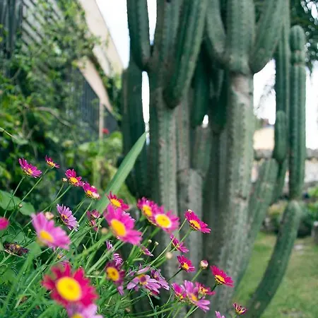 Casa El Drago-tafira Baja Alloggio in famiglia Las Palmas de Gran Canaria