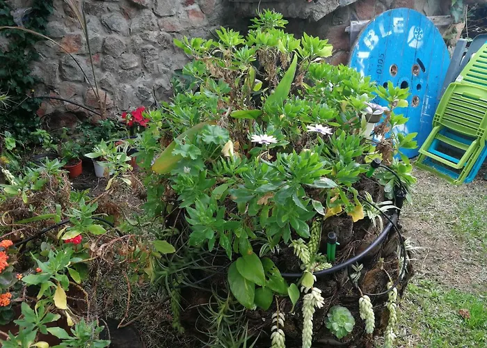 Casa El Drago-tafira Baja *