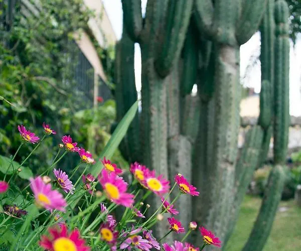 Casa El Drago-tafira Baja Quarto em Acomodações Particulares Las Palmas de Gran Canárias