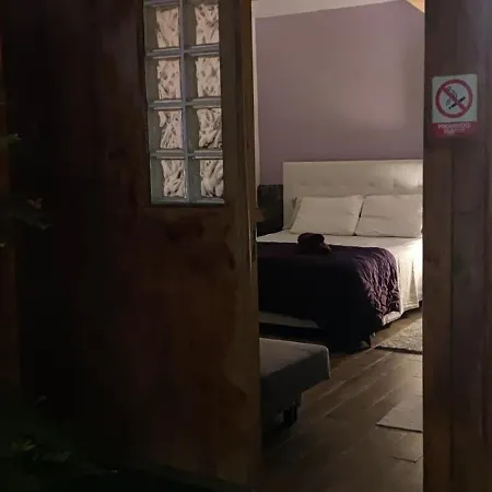 Séjour chez l'habitant Casa El Drago-tafira Baja