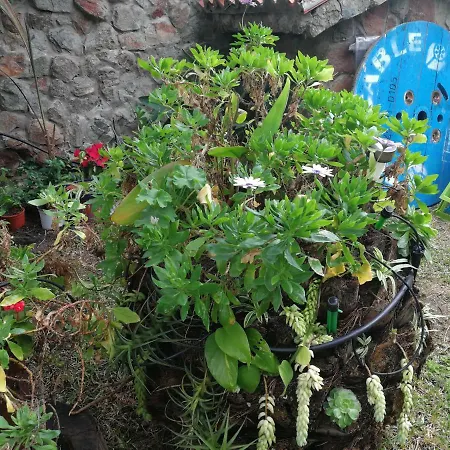 Casa El Drago-tafira Baja *