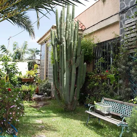 منزل للإقامة Casa El Drago-tafira Baja *