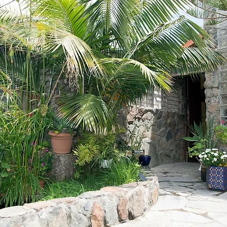 Séjour chez l'habitant Casa El Drago-tafira Baja