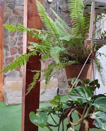 Casa El Drago-tafira Baja Habitación en casa particular Las Palmas de Gran Canaria