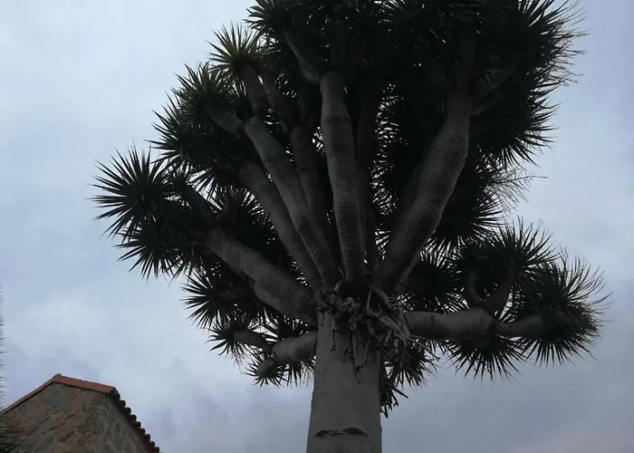 Casa El Drago-tafira Baja ホームステイ *