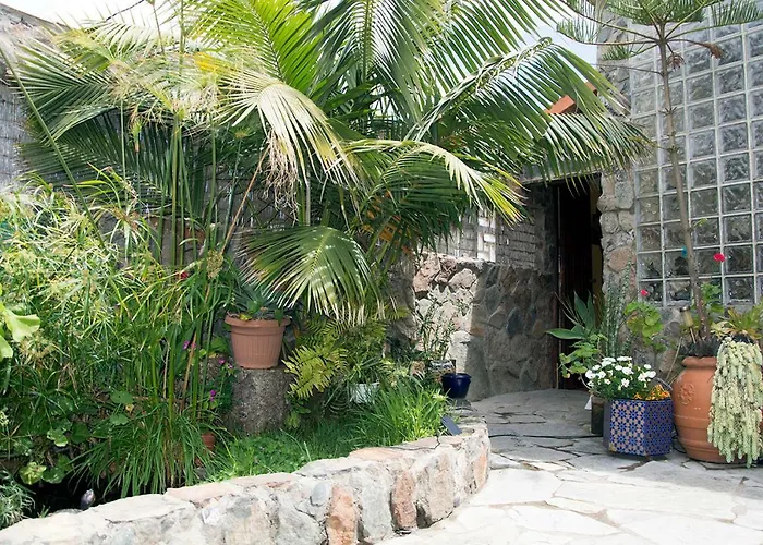 ホームステイ Casa El Drago-tafira Baja